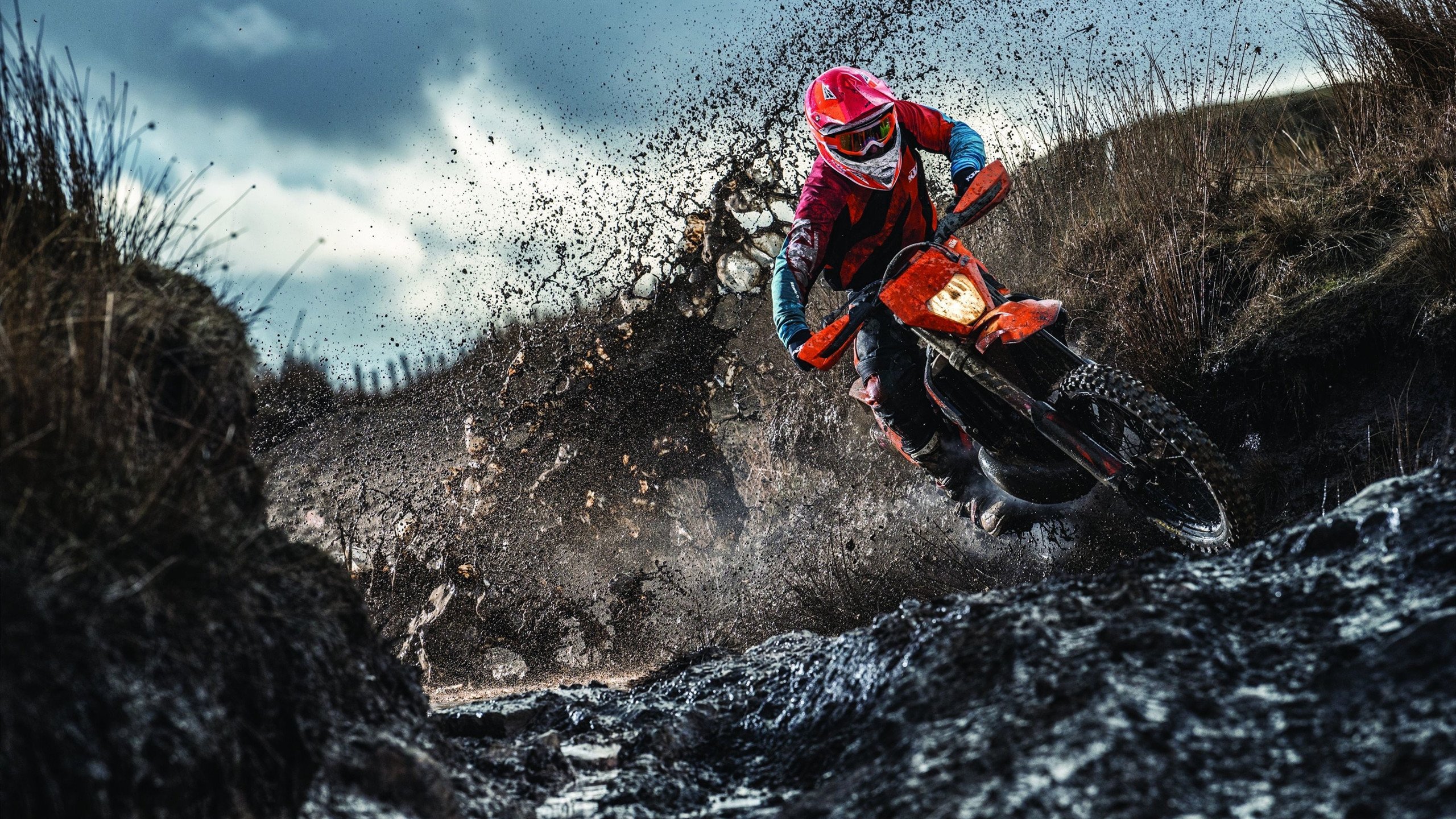 福特：随着表现不断提升，成全黑队未来的核心球员，福特黑色