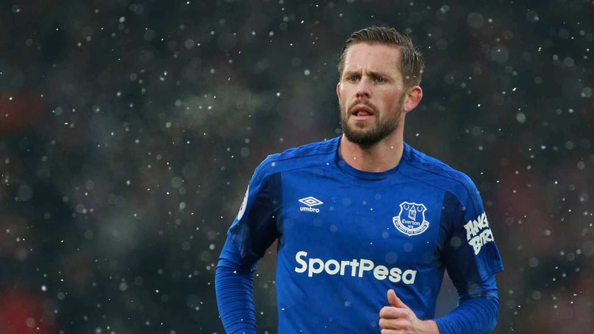 荷兰队迎来新主帅，战术全面革新